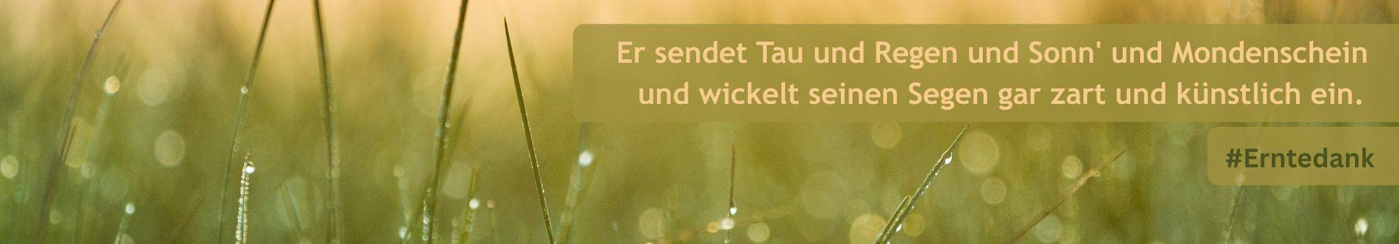 Quelle: canva piechatzek